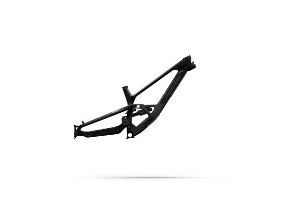 Lapierre SPICY CF FRAMESET raw carbon - glossy