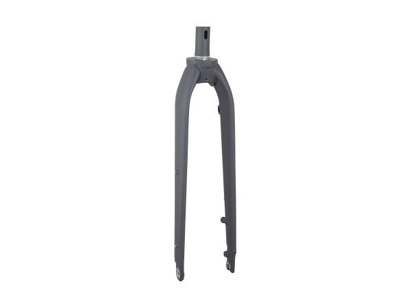 Trek Fork Rigid Trek Dual Sport 1 Matte Trek Black