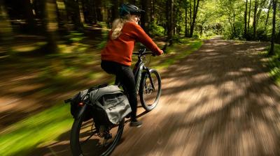 Trek Powerfly FS+ 4 EU XL 29 Mercury/Dark Web Produktbild 5