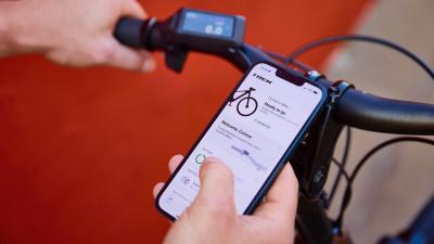 Trek Verve+ 3 LS XL Lava 800Wh Produktbild 3