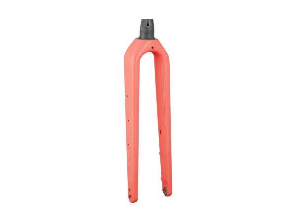 Trek Fork Rigid Trek 2026 Checkpoint ALR 4 49 Rake Livi