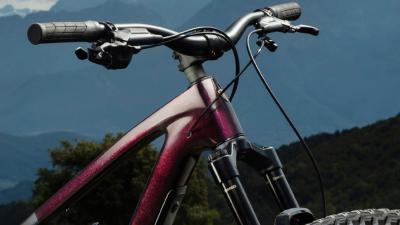 Trek Fuel Carbon F/S G7 XL Gloss Dark Carmine/Matte Tre Produktbild 3