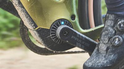 Trek Checkpoint+ SL6AXS EU L Fjord Blue/Cobalt Blue Produktbild 5
