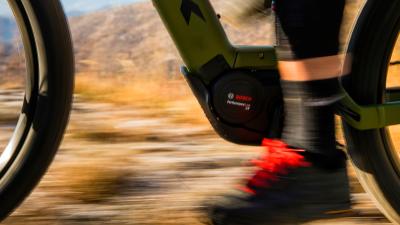 Trek Powerfly 2019 F/S XL 29 Slate Produktbild 1