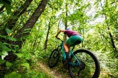 Kategorie E-Mountainbikes/ Hardtail
