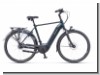 Batavus Finez E-go® Power RT He 625Wh 8-G Nexus