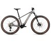 Orbea URRUN 10 L Magnetic Bronze (Matt) - Silver (Gloss)