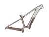 Trek Powerfly 2025F/S L 29 Lunar Silver/Bronze Age