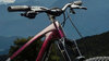 Trek Fuel LX 9.9 X0 AXS M Gloss Dark Carmine/Matte Trek