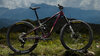 Trek Fuel LX 9.9 X0 AXS M Gloss Dark Carmine/Matte Trek